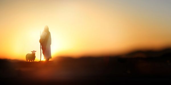 A shepherd with a staff and sheep at sunset.