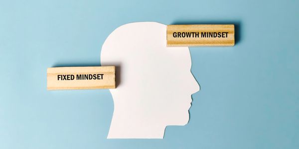 Profile of a human head with mindset labels.