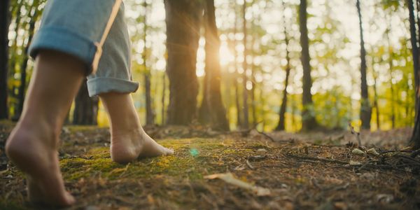Barefoot person walking in a sunlit forest.