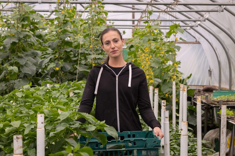 Happy female farm worker carrying trays of produce in a hoop house polytunnel