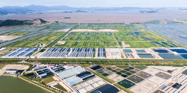 Vista aérea de un área agrícola con estanques y estructuras.