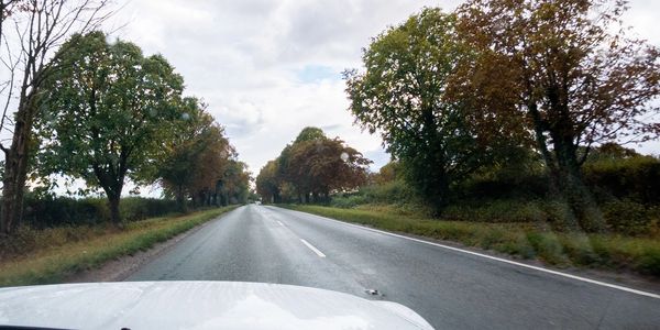 Empty country road with trees under cloudy sky.