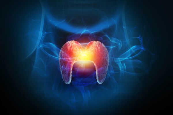 Illustration of a thyroid gland glowing in the neck area.