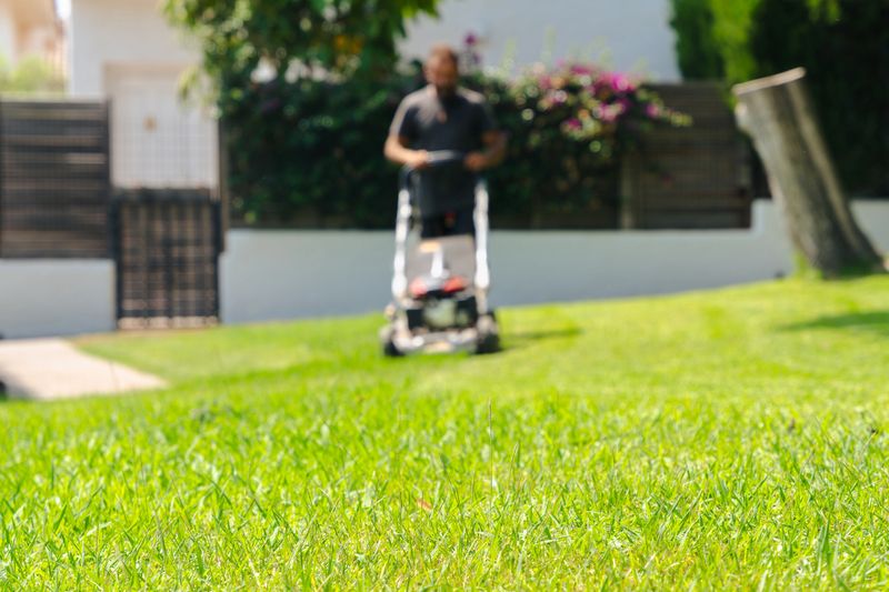 Male gardener mowing green grass with modern lawnmower in backyard outdoor garden seasonal maintenance landscaping professional yard care service
