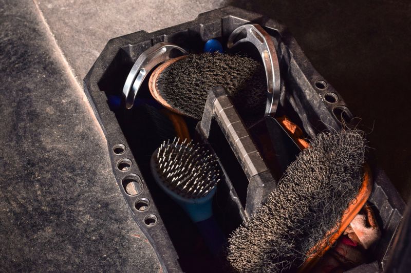 A box filled with horse grooming tools and brushes used for cleaning and caring for a horse's coat
