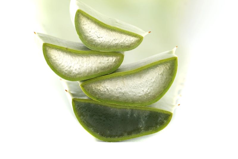 Close-up shot of aloe vera slices, showcasing the plant's healing properties, set against a clean, white background.