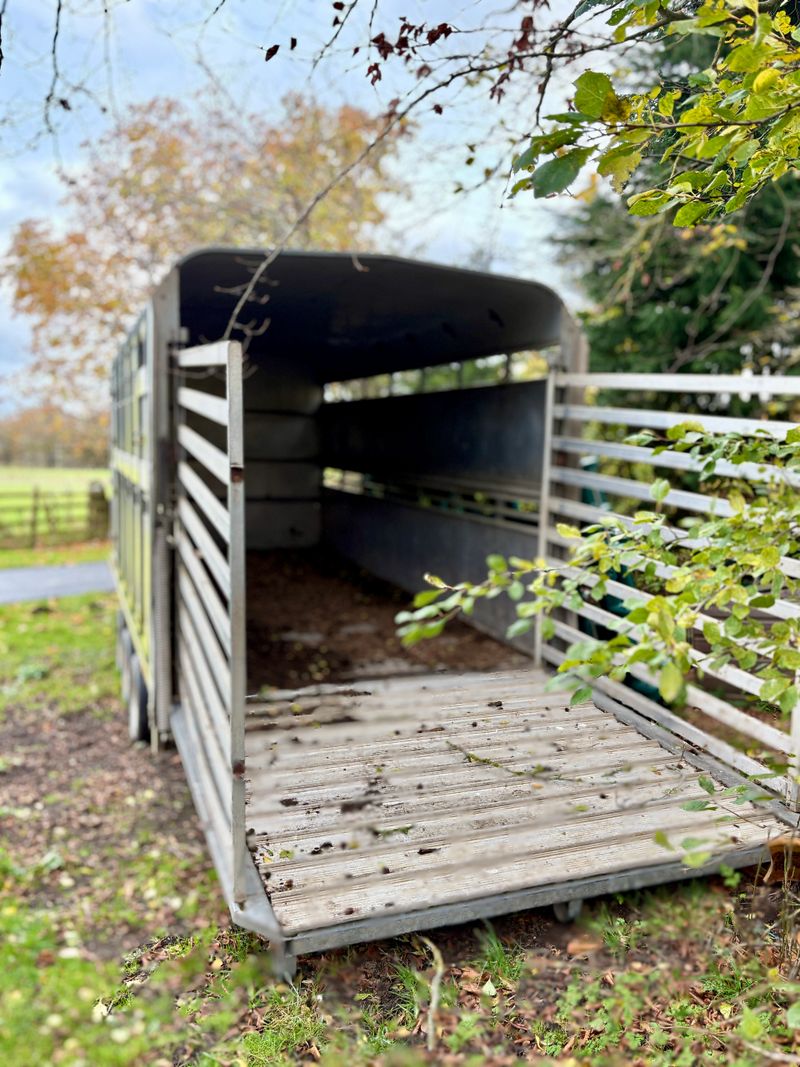 An empty metal horse trailer with an open rear gate, parked outdoors near trees. The rustic design and wooden floor highlight a rural agricultural setting in natural daylight.