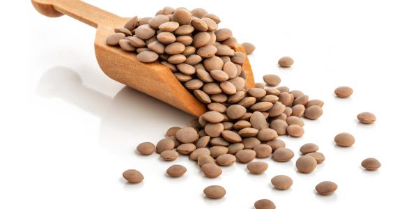 Brown lentils spilling from a wooden scoop on a white background.