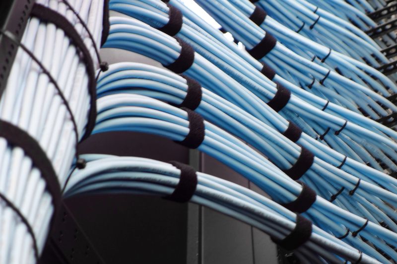A close-up view of neatly arranged blue network cables in a dark server room symbolizes advanced technology and efficient data management systems.