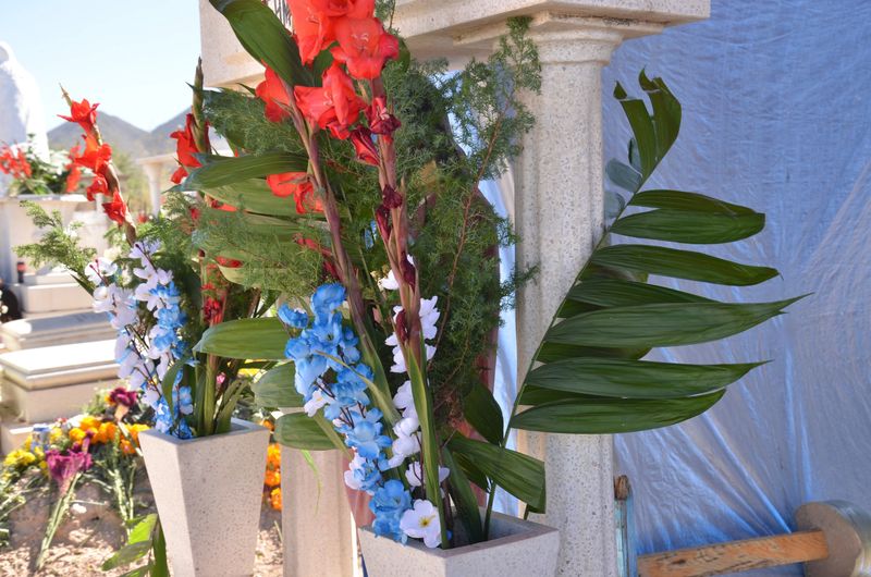 Beautiful floral tributes bring peace and remembrance at the cemetery. Vibrant colors and serene arrangements offer comfort and honor to loved ones gone too soon.