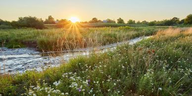 Sun setting over a lush riverside meadow.