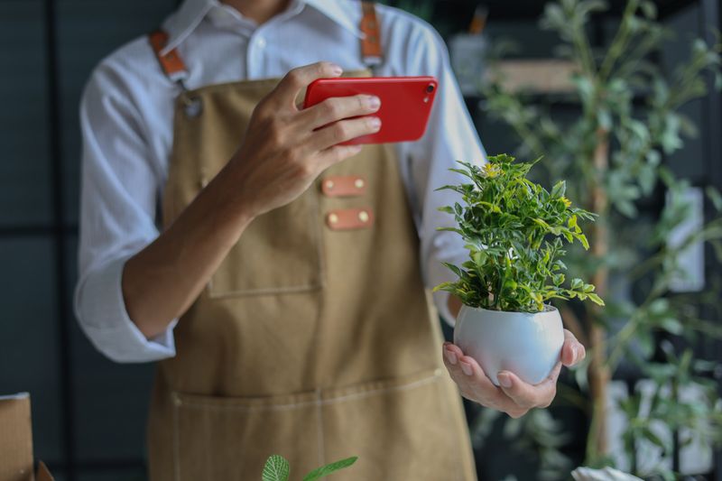 A shop owner or employee using phone checking order, taking photo or to document the plant for inventory.