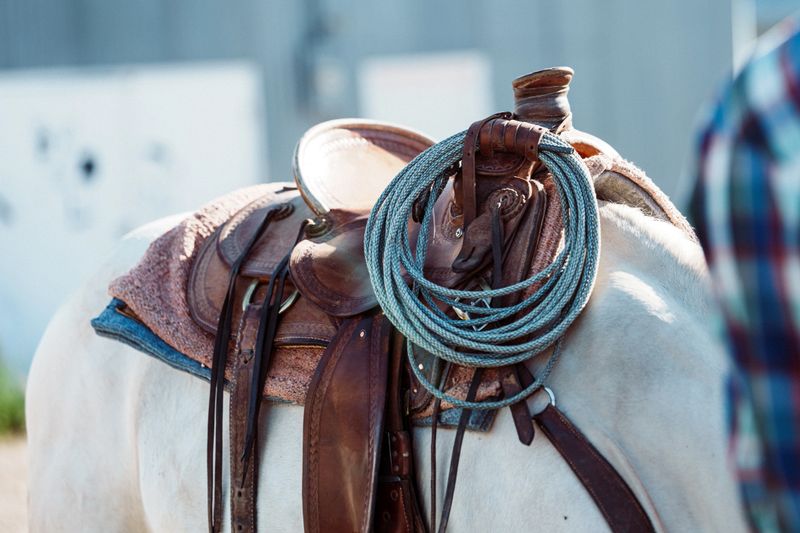 A close-up view of a white horse outfitted with a leather saddle and coiled lariat, prepared for an afternoon of ranch work in Wyoming.