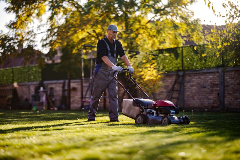 Senior adult man wearing overalls and gloves pushing a lawn mower, trimming overgrown green grass in his backyard garden