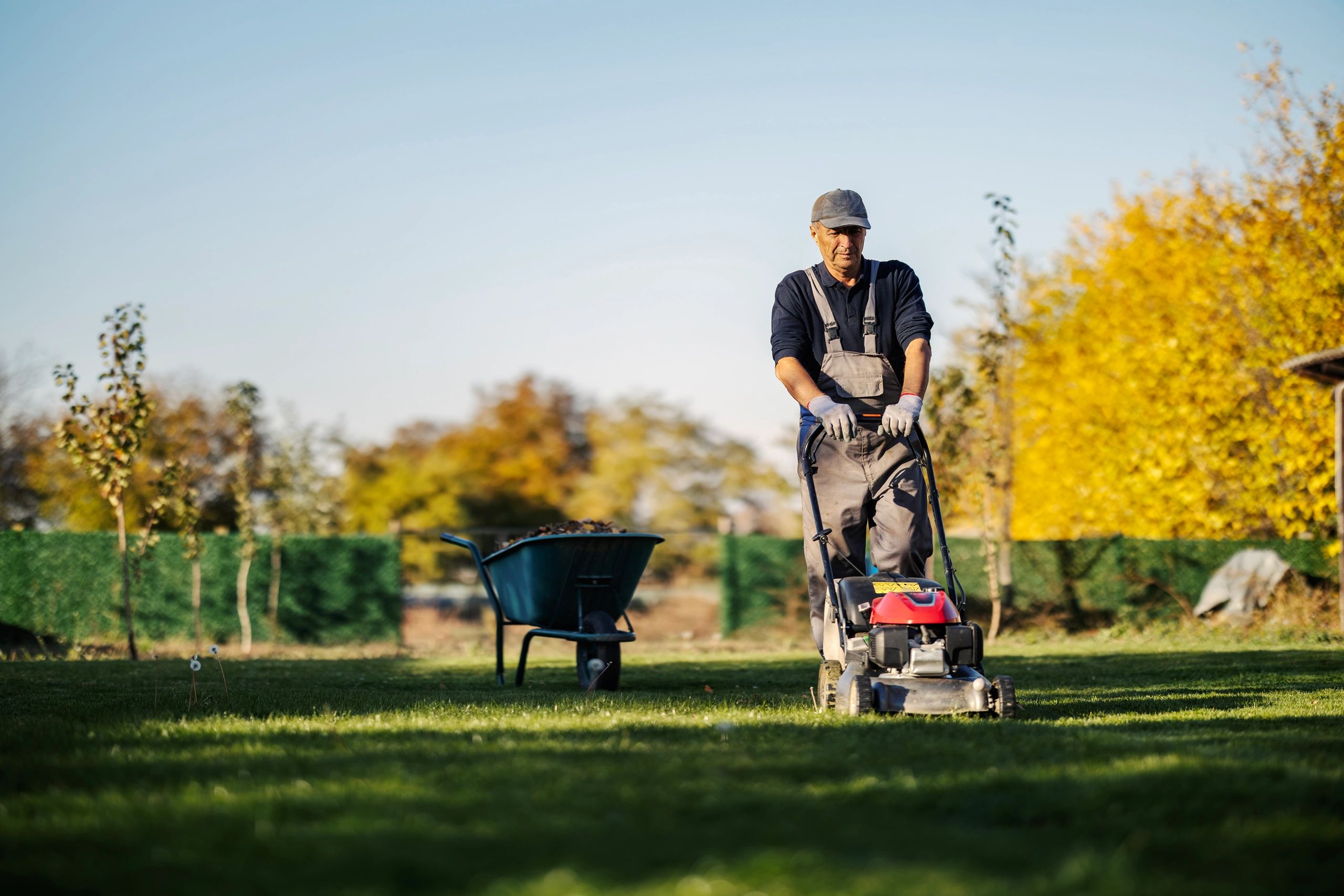 South Coast Mowing And Maintenance