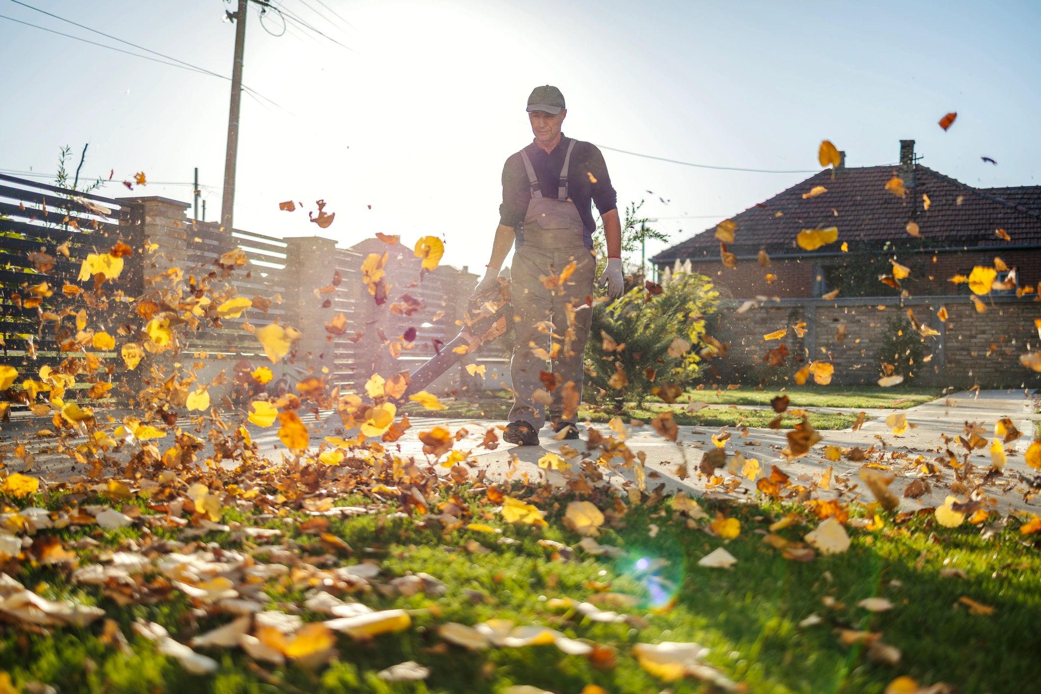 DIAMONDBACK LANDSCAPING & LAWN CARE logo