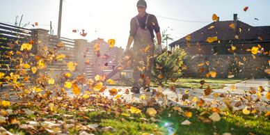 Person blowing leaves outdoors on a sunny day.