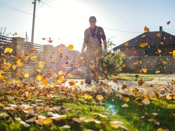 Person blowing autumn leaves with a leaf blower.