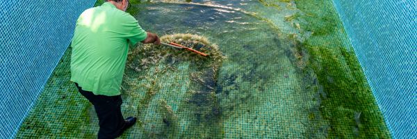 Man cleaning algae from an empty pool with a brush.