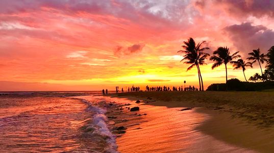Tropical Hawaii Paradise