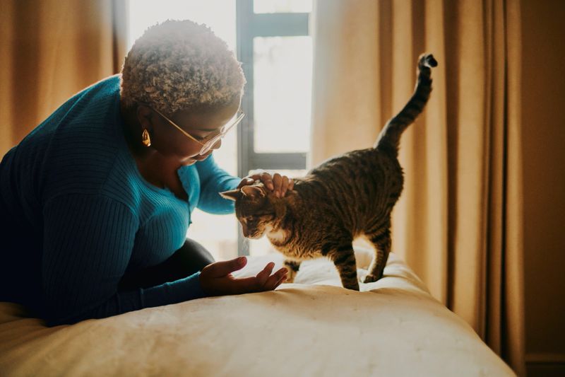 A young Black woman wearing glasses and a teal sweater lovingly pets her cat while sitting on her bed. The warm light and cozy setting capture a moment of affection, comfort, and companionship between a pet owner and her cat at home. Perfect for themes of relaxation, mindfulness, and everyday life.