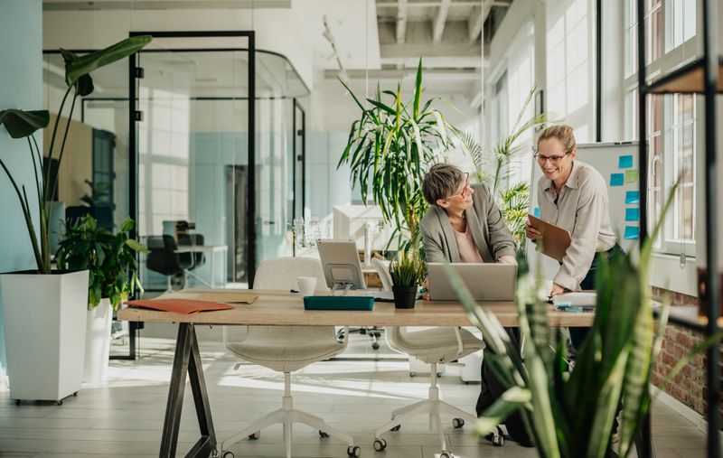 Two businesswomen work together in a bright, modern office