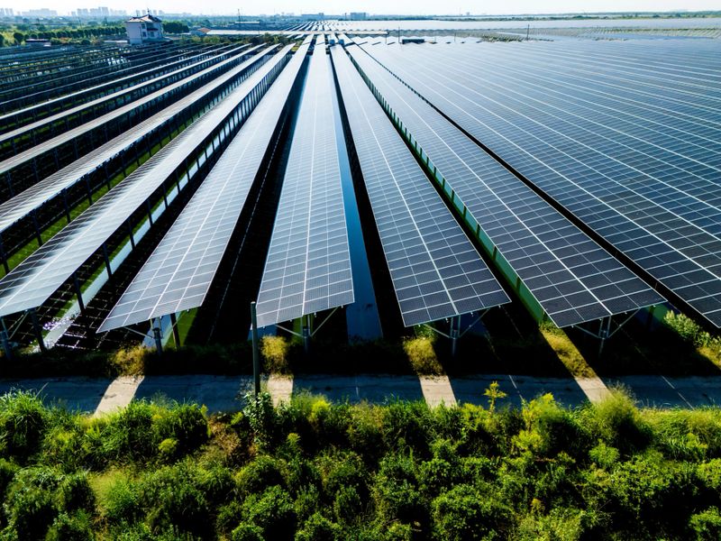 Innovative solar panels harnessing energy in a sustainable environment