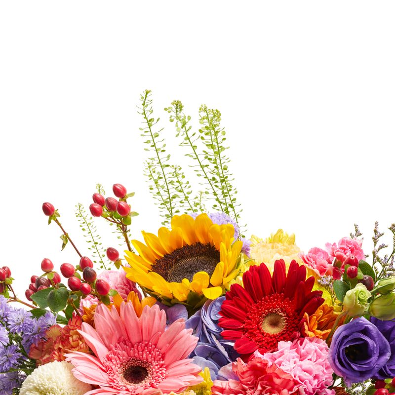 Bright mixed flower bouquet isolated on white background with clipping path. Includes sunflower, gerbera, carnation, lisianthus, and hydrangea. Perfect for floral decoration, spring concept, and greeting design.