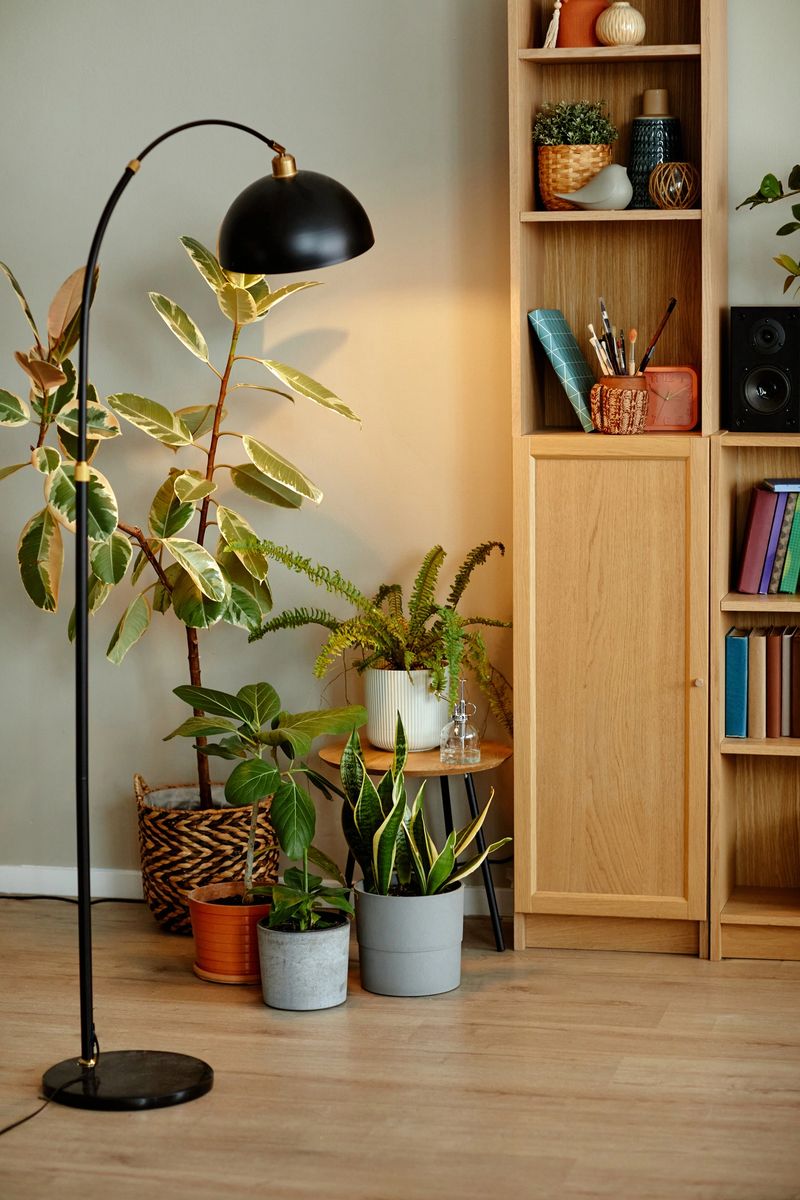 Indoor scene showing group of assorted potted houseplants arranged on floor near wooden shelving unit with books and decorative objects, modern floor lamp standing beside plants