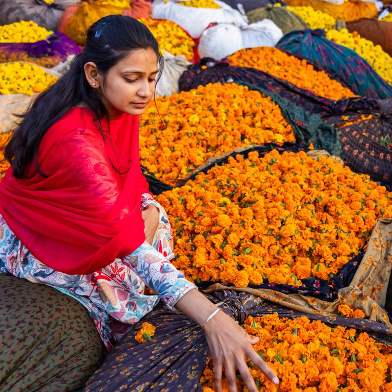 A young woman in a bright red shawl sits among large heaps of vibrant orange marigold flowers, gently arranging or selecting blooms. She wears patterned traditional clothing and a calm, focused expression as colorful cloths and sacks of flowers form a textured backdrop. The scene captures the lively colors and intimate hands-on work of a bustling flower market.