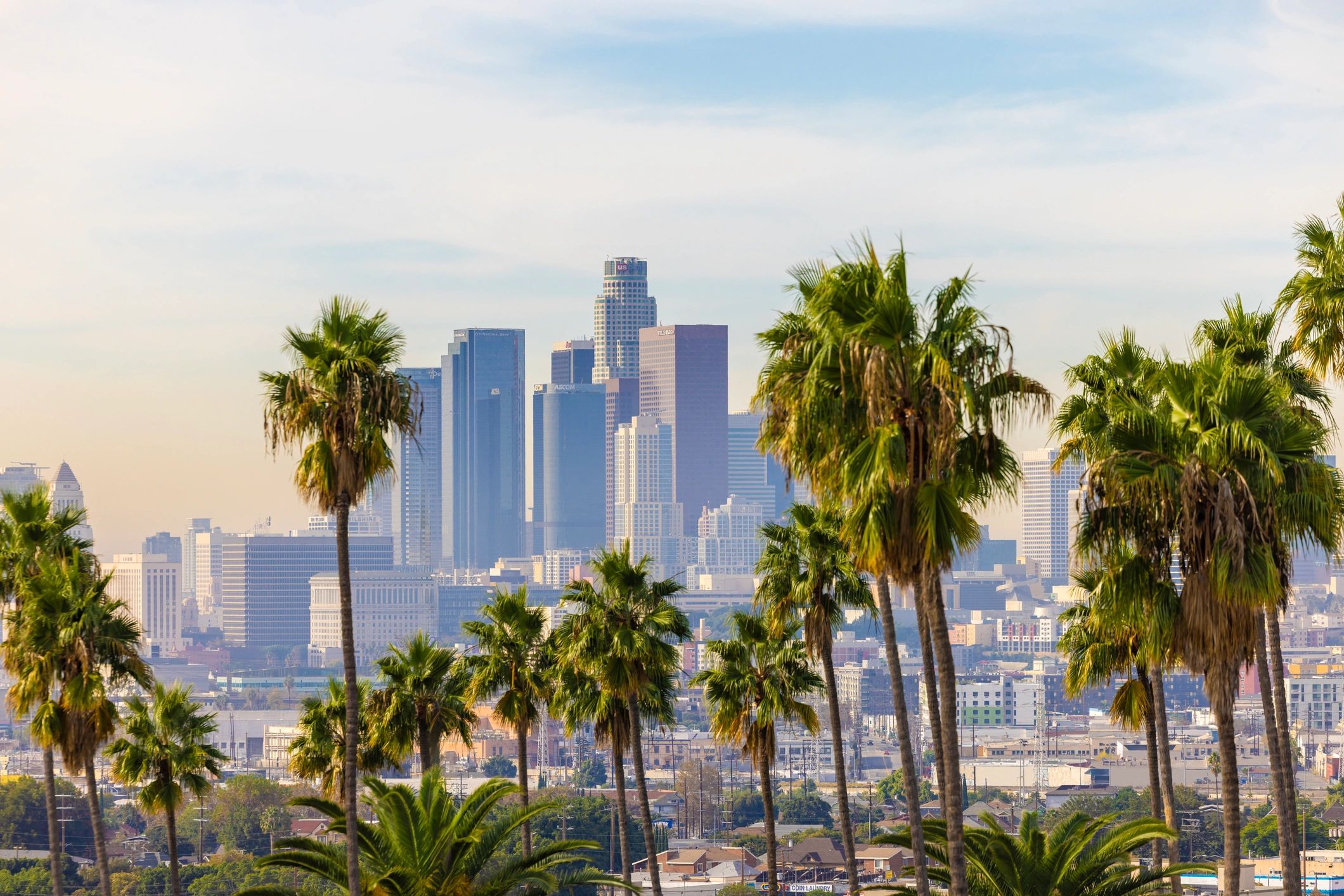 Palm trees with the downtown Los Angeles skyline in the background, California.