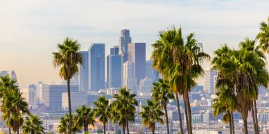 Downtown Los Angeles skyline with palm trees in the foreground under a clear sky.