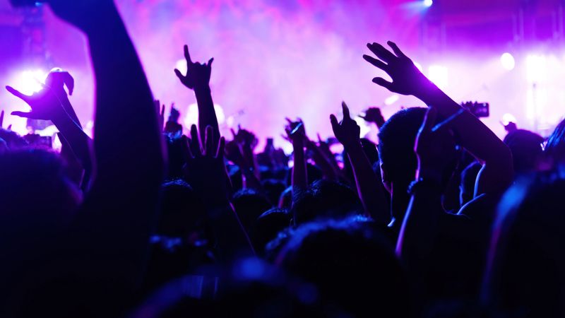 People arms raised at music festival