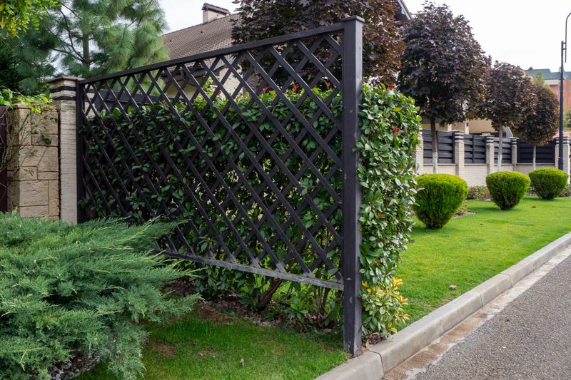 Decorative wooden lattice fence divides green lawn with neatly trimmed bushes, architectural garden element. Landscape architecture, fencing systems, garden design, property planning. Real photo.
