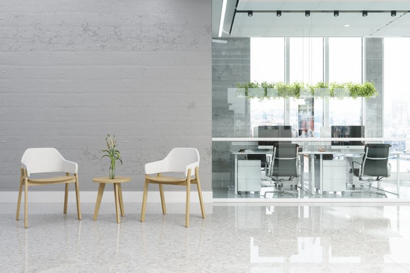 A bright and modern office interior featuring a minimalist waiting area with two contemporary chairs and a small wooden table topped with a simple flower arrangement. Behind a glass partition, a clean and organized workspace with desks, computers, and greenery is visible, creating a professional and welcoming atmosphere.