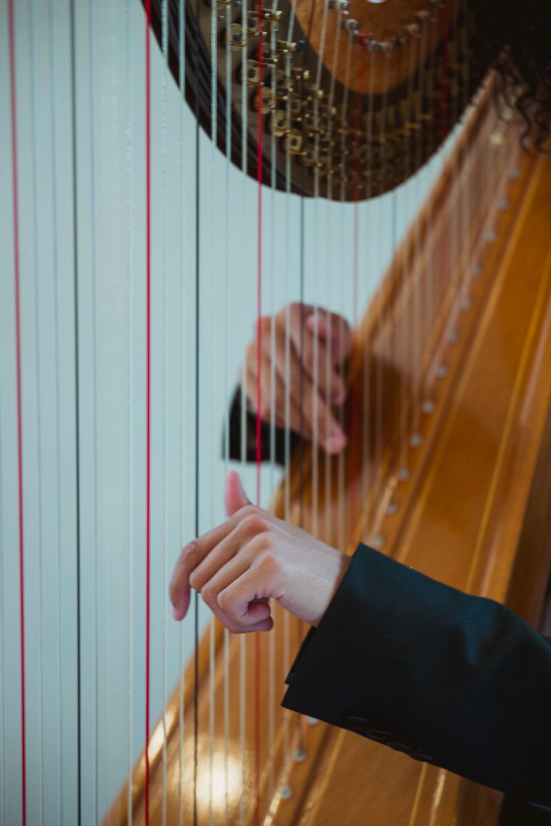 A detailed close-up captures the delicate movements of a harpist's hands as they pluck and press the strings. Warm, soft lighting highlights the wooden frame and myriad strings, conveying a calm, refined mood suitable for classical music, performance, or artistic themes.