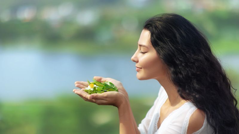 Brunette woman in white dress holding fresh tea leaves and flower, eyes closed in peaceful nature. Great for eco lifestyle, organic farming, tea culture, spa, or wellness brand advertising.