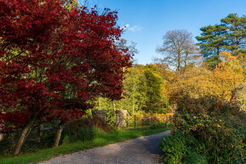 Autumn path in the park. Buchan Country Park in Crawley, England.