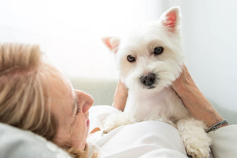 A Cheerful retired senior woman with dog and enjoying time with pet at home