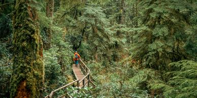 Personne marchant sur un pont en bois dans une forêt dense.