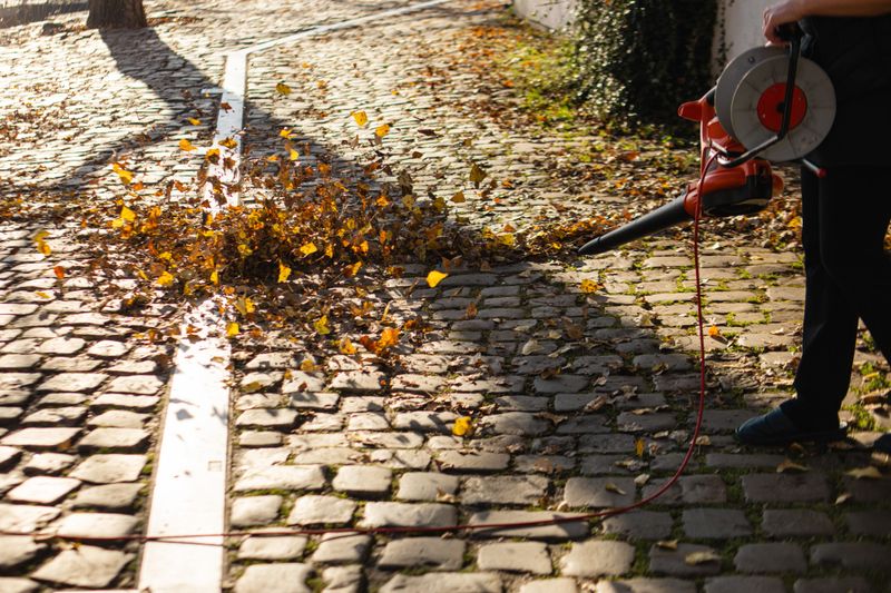 Clean well-maintained lawn with leaf blower clearing fallen autumn leaves