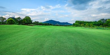 A wide, lush green field under a partly cloudy blue sky.