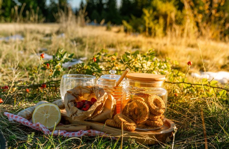 A warm outdoor picnic with herbal tea, rose hips, honey, lemon, and cookies set in a sunny meadow, creating a cozy, natural, and rustic atmosphere.