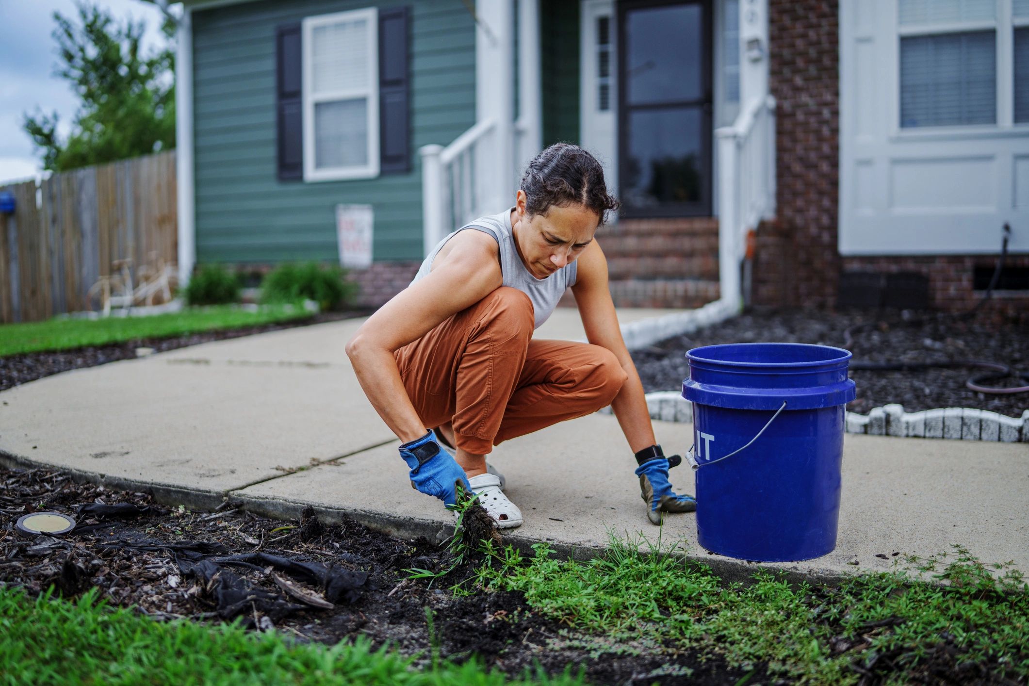 Pre-Emergent vs. Post-Emergent Weed Killer