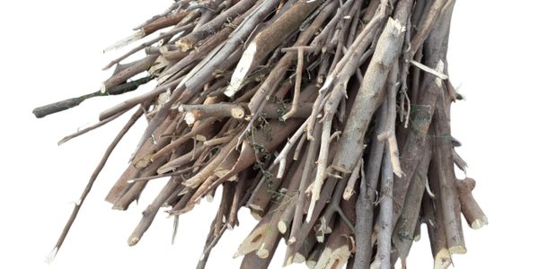 A bundle of dry wooden sticks tied together.