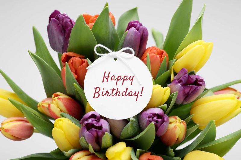 Beautiful bouquet of tulips with Happy Birthday card on light background, closeup