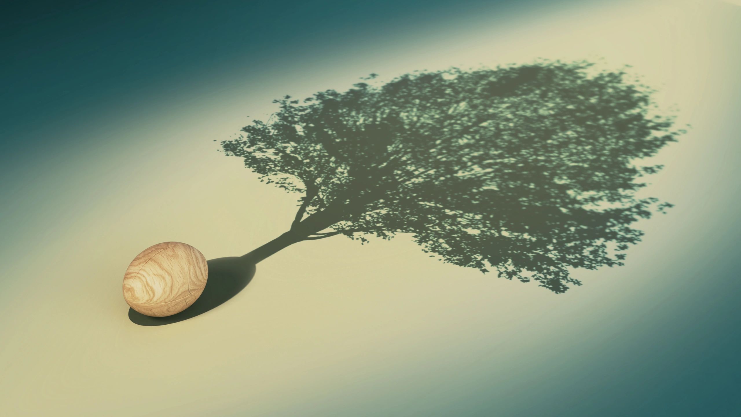 Wooden egg casting a shadow of a tree symbolizing growth and potential.