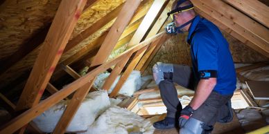 Inspecting attics and other areas of your home and community for preventative wildlife management, exclusion work and clean up, repair from nuisance animal removal in Palm Beach county.