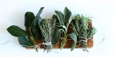 Various fresh herbs tied and arranged on a wooden board.
