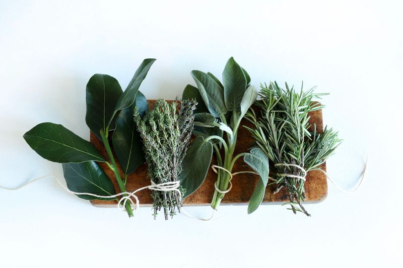 Assortment of fresh aromatic herbs, like bay leaves, thyme, sage and rosemary, used in Italian and Mediterranean cuisine, on a wooden cutting board on a white table. Overhead view.